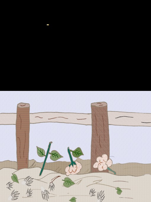 Title details for Hugo--l'Affaire des plates-bandes by Luc Roseberry - Wait list